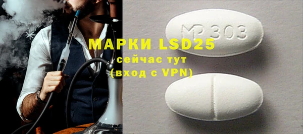 индика Вяземский