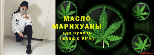 индика Вяземский