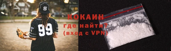 индика Вяземский
