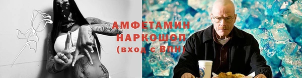 прущие грибы Горняк