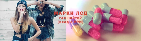 PSILOCYBIN Вязьма