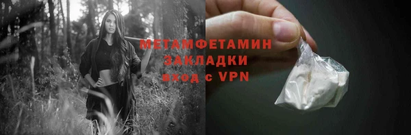 индика Вяземский