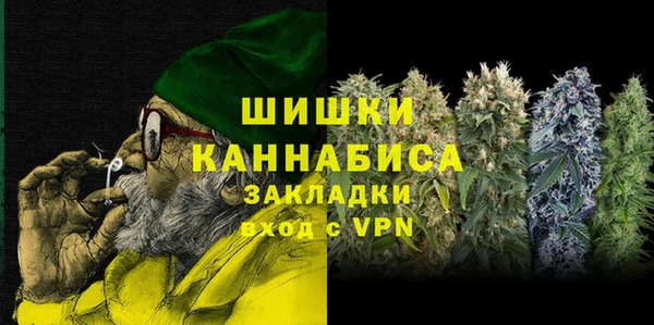 прущие грибы Горняк