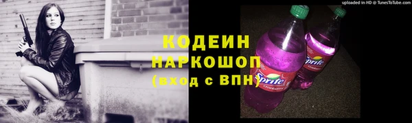 прущие грибы Горняк