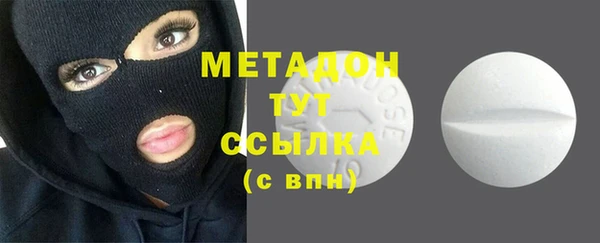 индика Вяземский