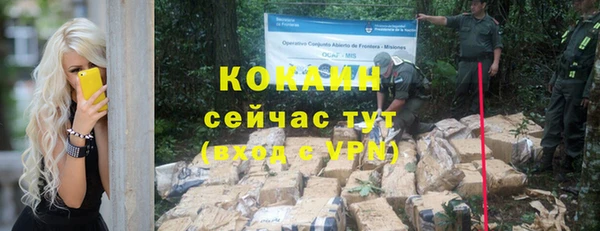 индика Вяземский