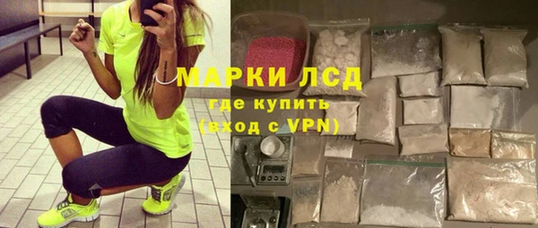 прущие грибы Горняк