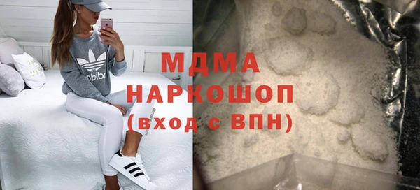 индика Вяземский