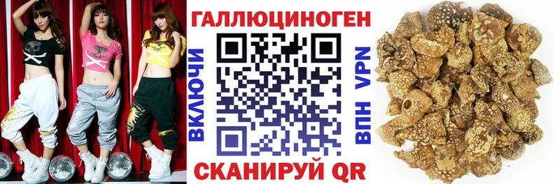 Псилоцибиновые грибы мухоморы  mega   Дигора 
